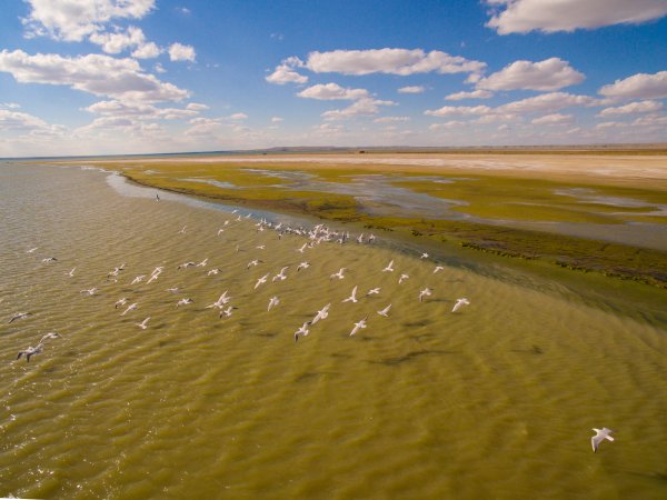 Солончаки Аральского моря