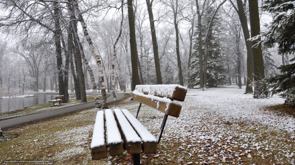 Поздняя осень в парке