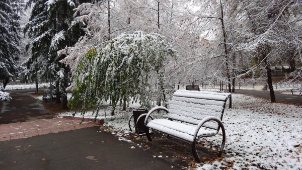 Первый снег в городе