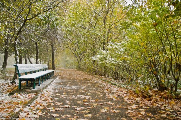 Поздняя осень в парке