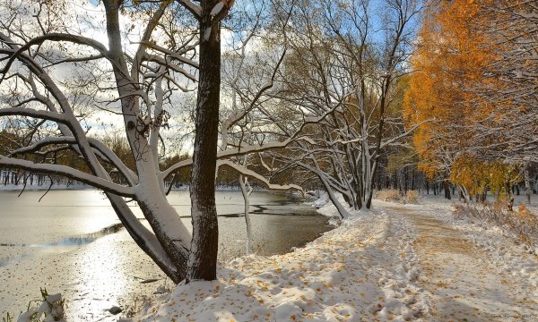 Осень первый снег парк
