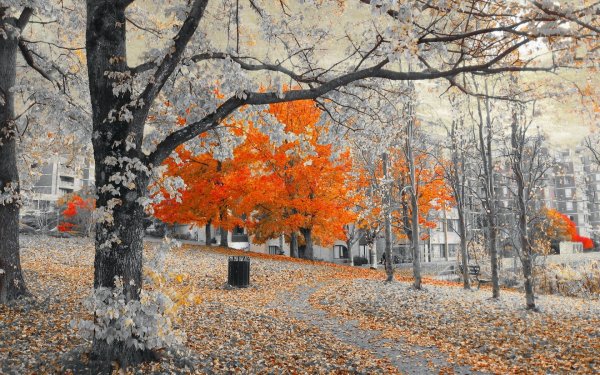 Осень в городе