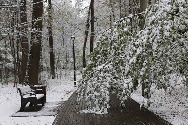 Первый снег парк