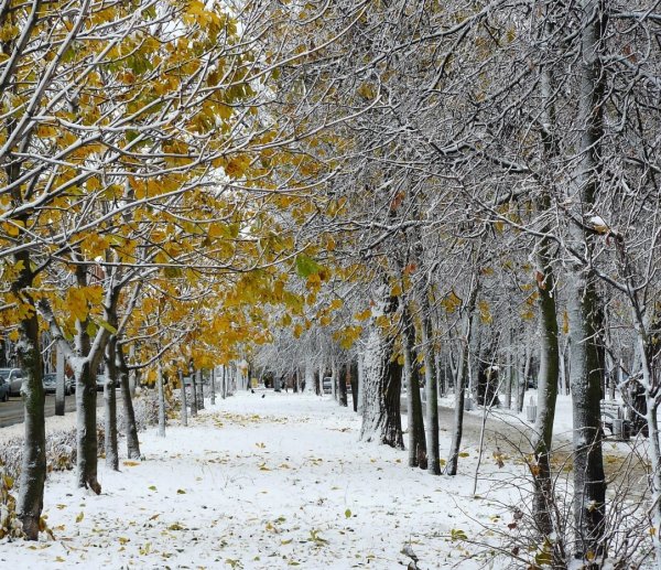 Поздняя осень предзимье в городе