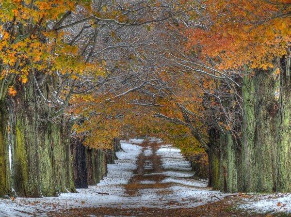 Природа поздняя осень