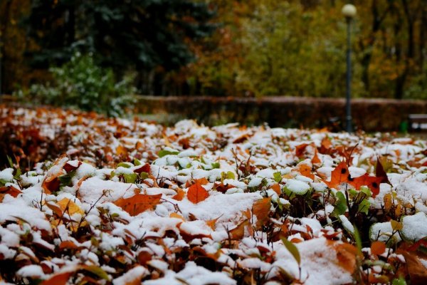 Первый снег парк