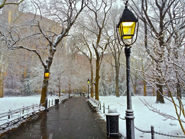 Первый снег в городе
