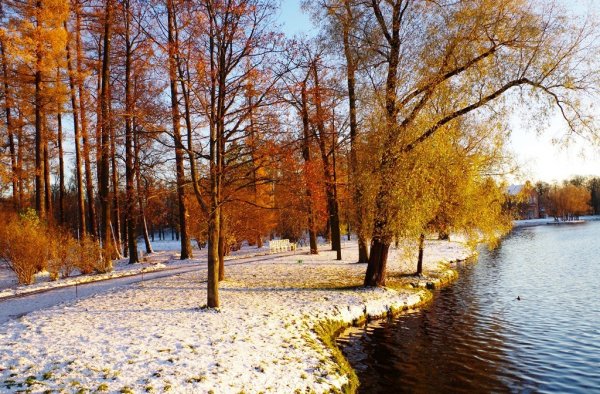 Доброе утро первый снег осенью