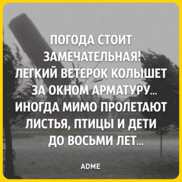 Лёгкий ветерок треплет арматуру