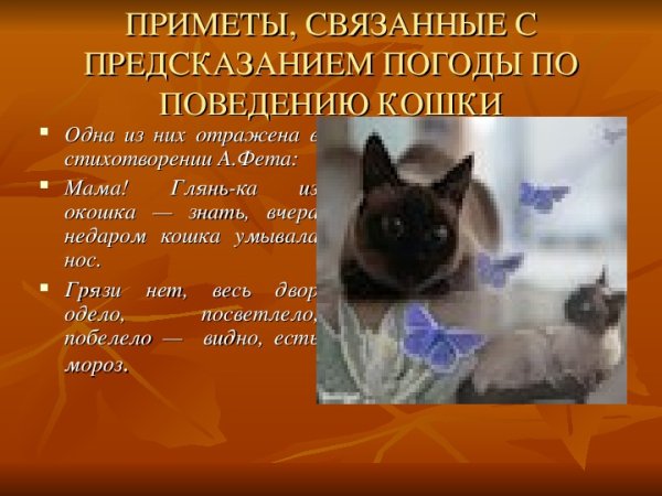Приметы связанные с животными