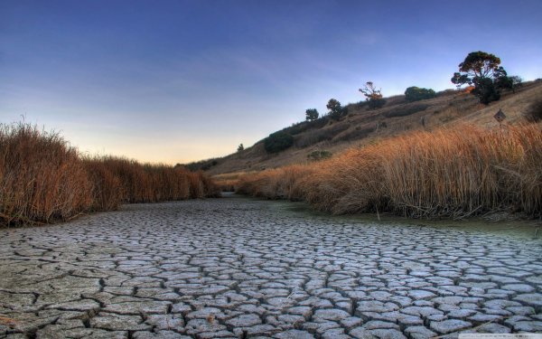 Пересохшее русло реки