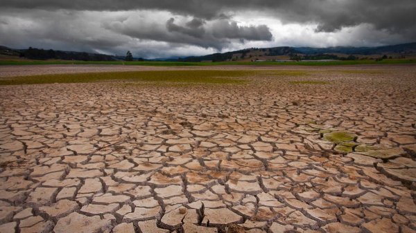 Пересохшее русло реки