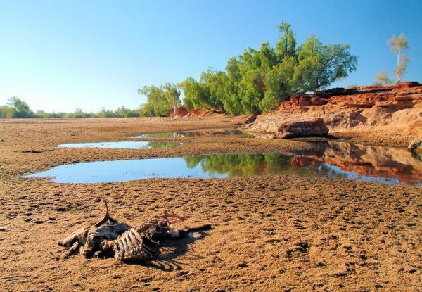Крики пересыхающие реки Австралии