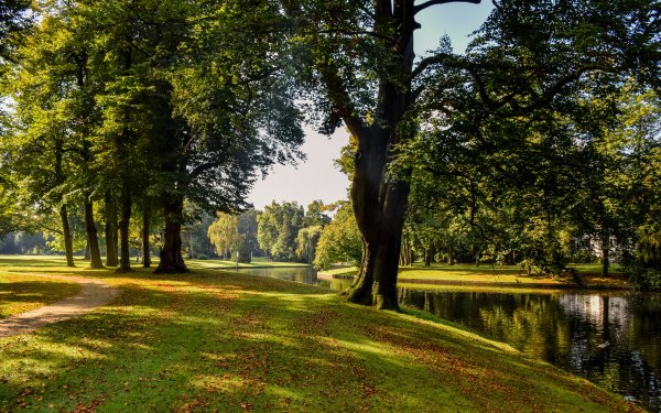 Парк СПБ лес речка