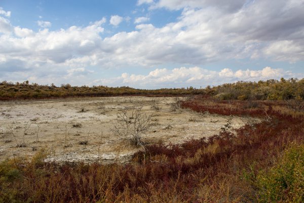 Усть Кудеча