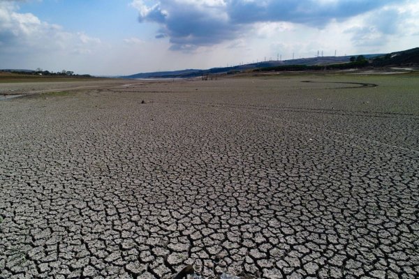 Почти высохшее озеро