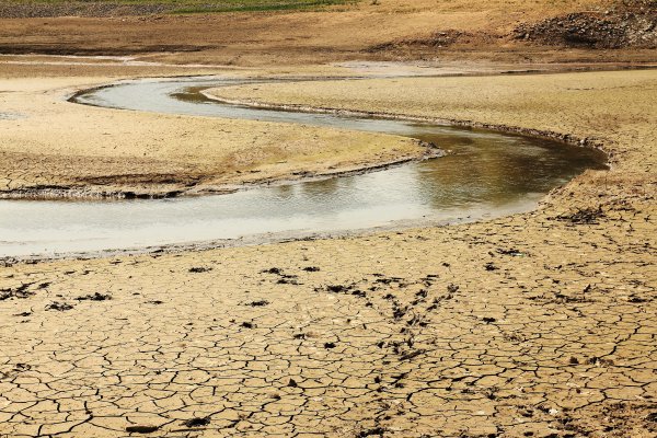 Река Амазонка обмелела
