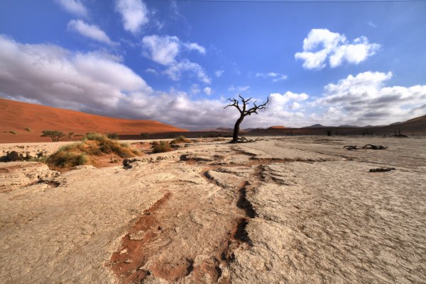 Высохшее русло реки