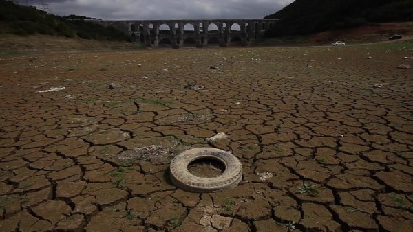 Высохшее русло реки