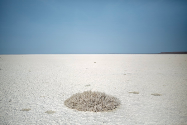 Солончаки Аральского моря