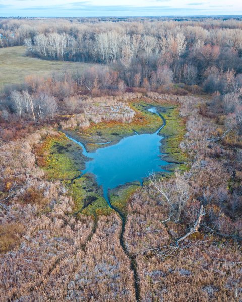 Пересохшие реки России