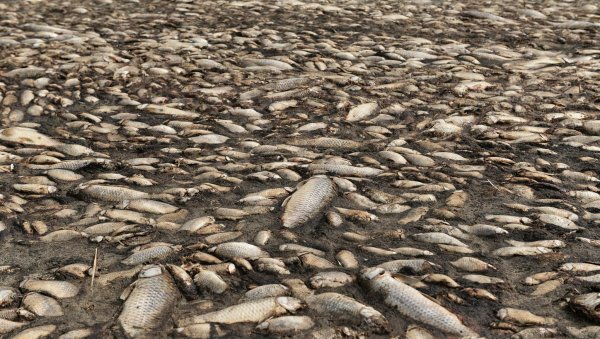 Дно высохшего озера