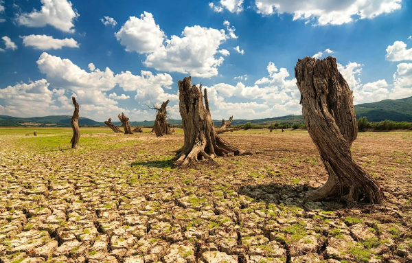 Деградация природы