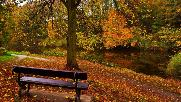 Екатерининский парк лавочки