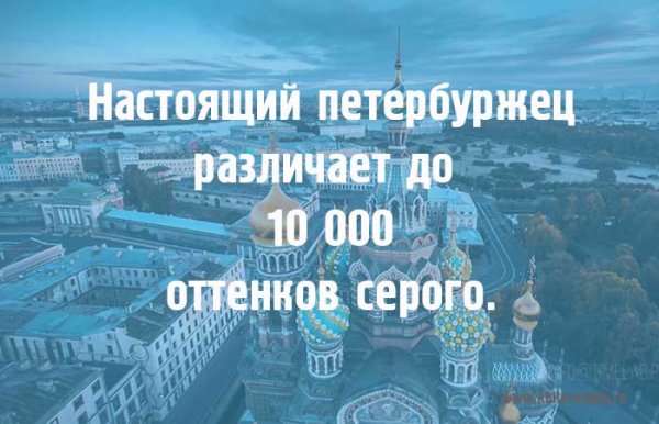 Высказывания про Питер