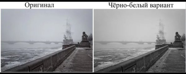 Оттенки серого Петербург