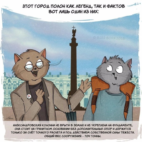 Смешные фразы про Питер