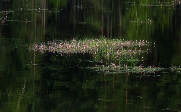 Колдовское озеро фото