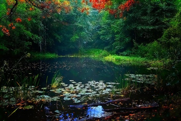 Волшебное озеро Лядов