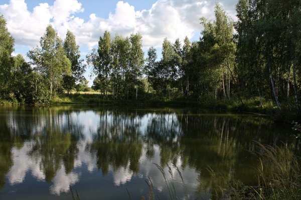 Колдовское озеро в лесу