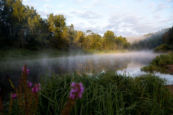 Река Угра Сосновый Бор