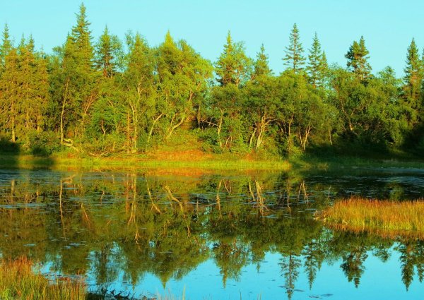 Озеро Солодовское Ленинградская область