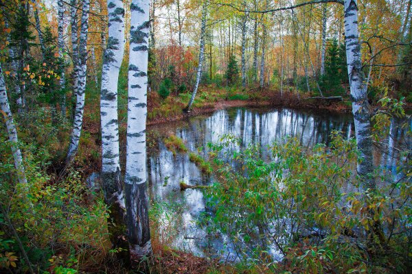 Колдовское озеро картинки