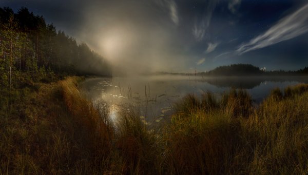 Туман вечером