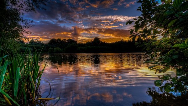 Пруд в лесу закат