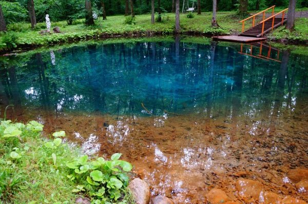 Волшебный пруд