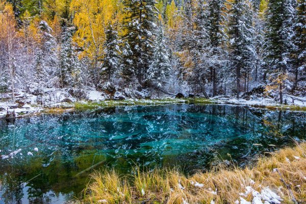 Гейзерное озеро Алтай зима