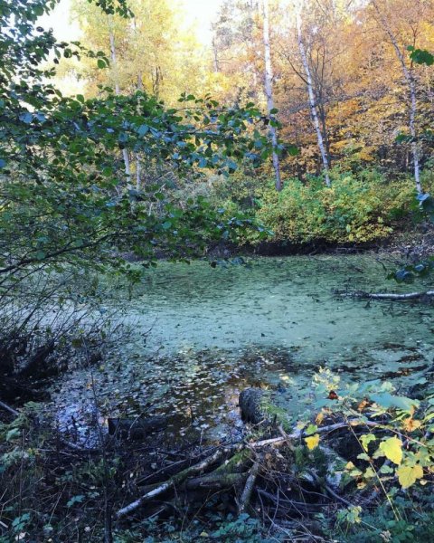 Колдовское озеро