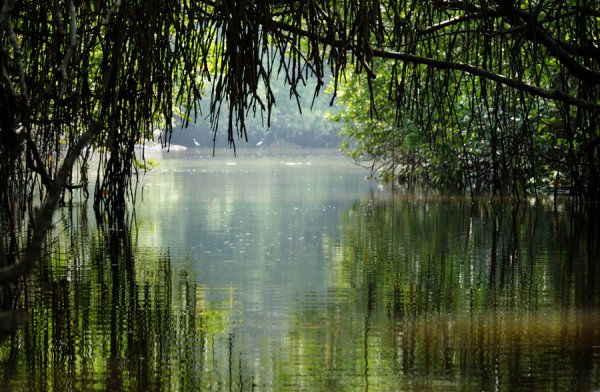 Волшебное озеро Лядов