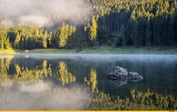 Бореальный лес Канады