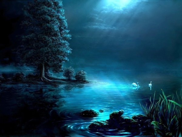 Ночной пейзаж с водой