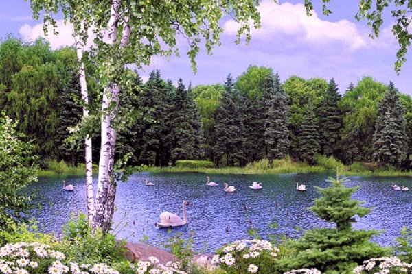 Чудесное озеро