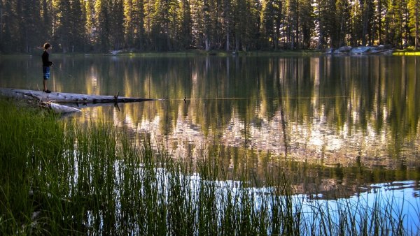 Озеро лес рыбалка