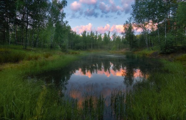 Озеро светлое Воскресенск