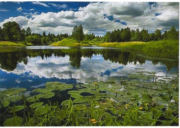 Волшебное озеро Лядов
