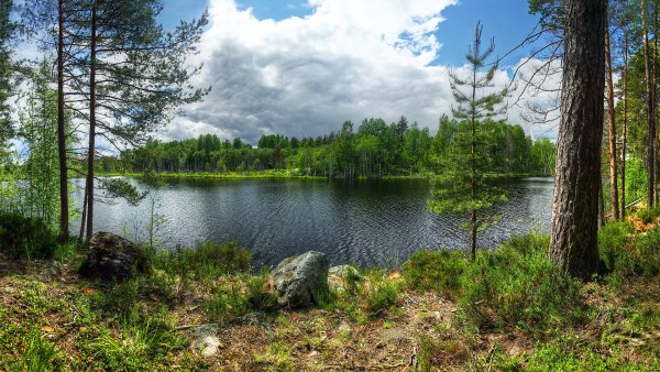 Остров Кильпола Карелия